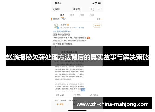 赵鹏揭秘欠薪处理方法背后的真实故事与解决策略