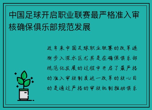 中国足球开启职业联赛最严格准入审核确保俱乐部规范发展 中国足球开启职业联赛最严格准入审核确保俱乐部规范发展